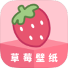 Android 草莓壁纸_1.1 去广告.apk